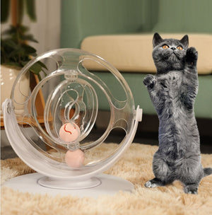 Unleash Your Cat's Curiosity with Our Cat Turntable Educational Toys