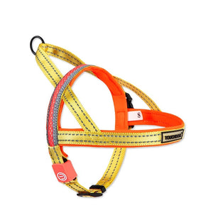 Illuminate Your Walks: The Ultimate LED Dog Leash