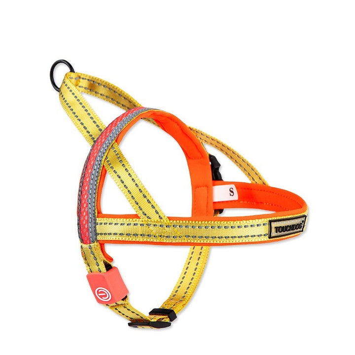 Illuminate Your Walks: The Ultimate LED Dog Leash