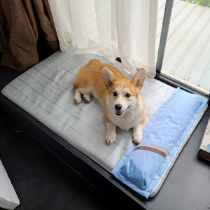 Transform Your Pet's Comfort with the Dog Mat Sleeping With Pet Mat