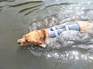 Keep Your Pets Safe and Stylish with Our Pet Life Jacket