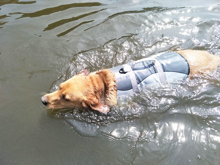 Keep Your Pets Safe and Stylish with Our Pet Life Jacket