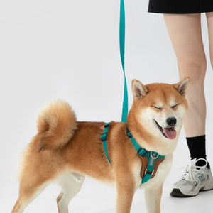 The Ultimate Companion for Your Pet: Okinawa Dog Leash