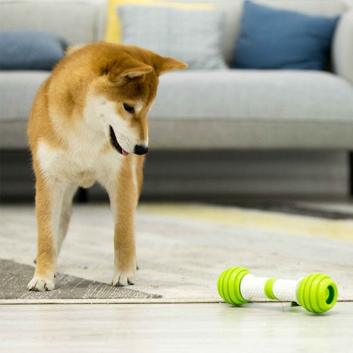 Happy bone electric automatic dog toy