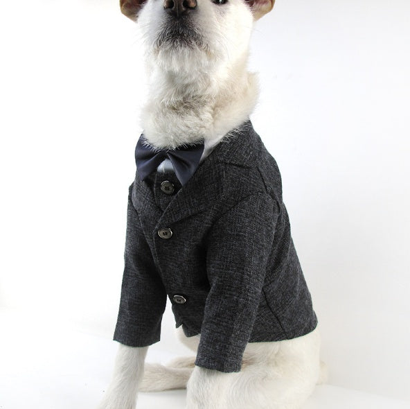 Wedding Dress Pet Suit Gentleman Clothes
