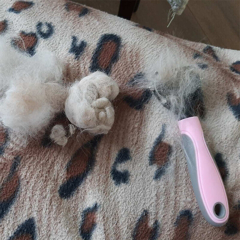 Grooming Brush For Pet Dog