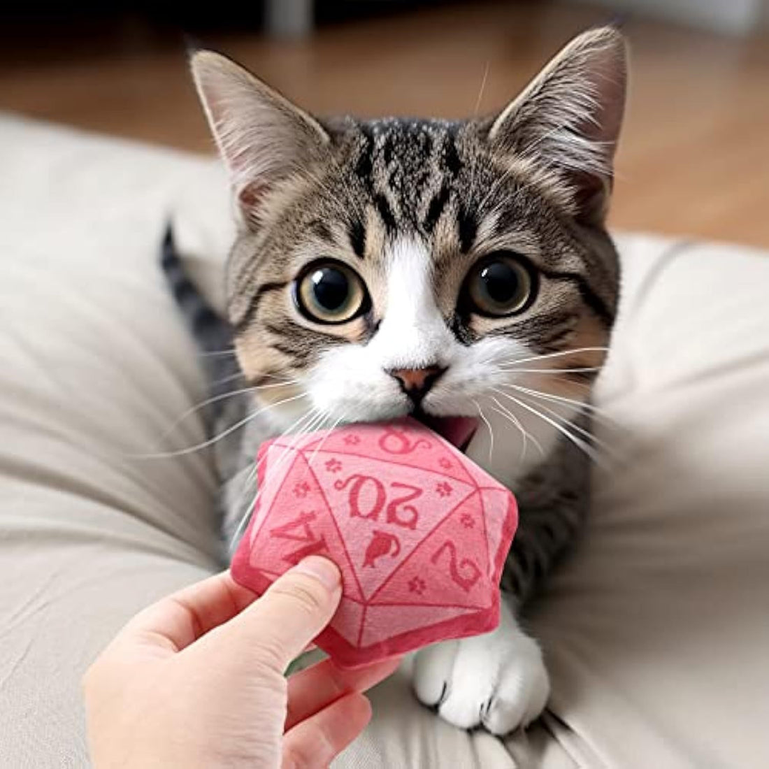 Dice Catnip Toy DND Cat Toy