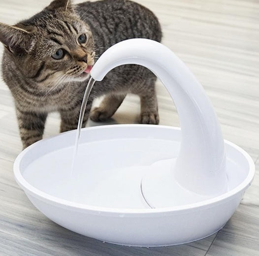 Cat Water Dispenser Drinking Bowl