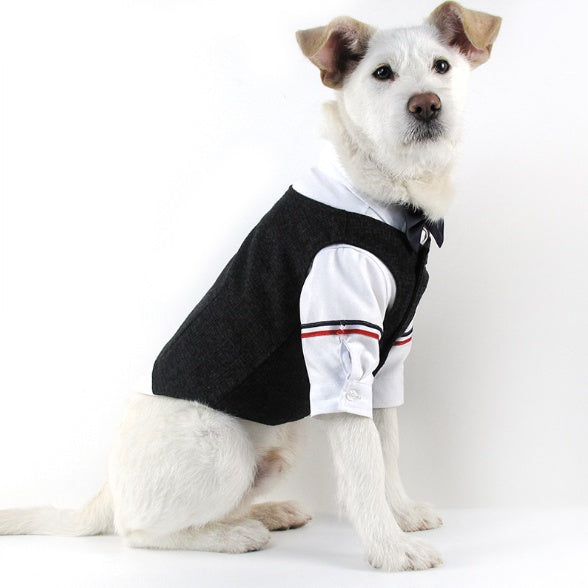 Wedding Dress Pet Suit Gentleman Clothes