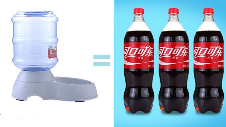 Automatic Pet Feeder Drinking Water