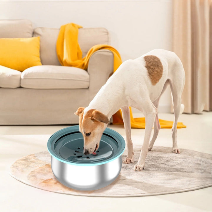 Large Capacity Pet Water Bowl