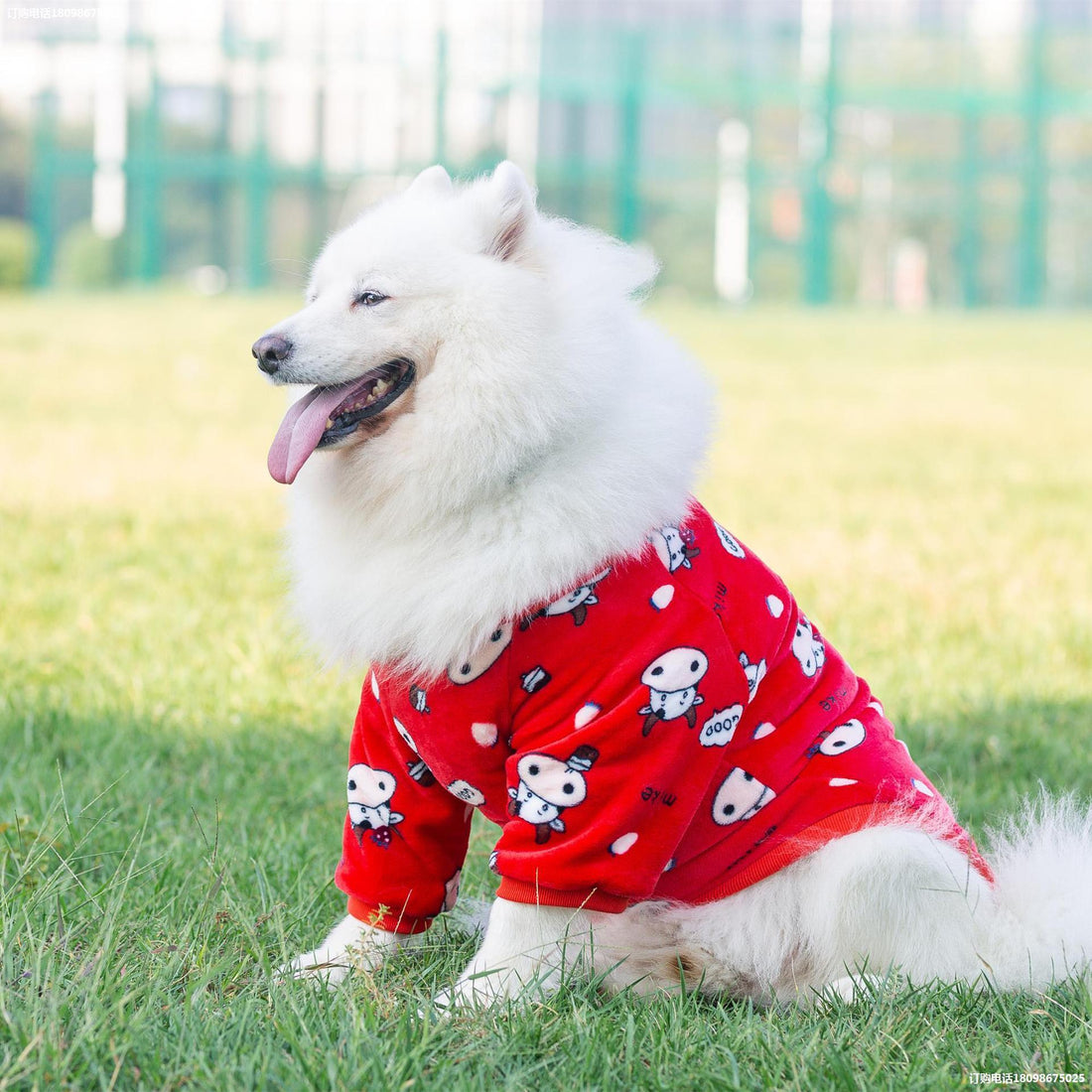 Fashion Pet Clothes Dog Dress
