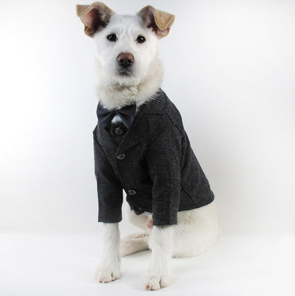 Wedding Dress Pet Suit Gentleman Clothes