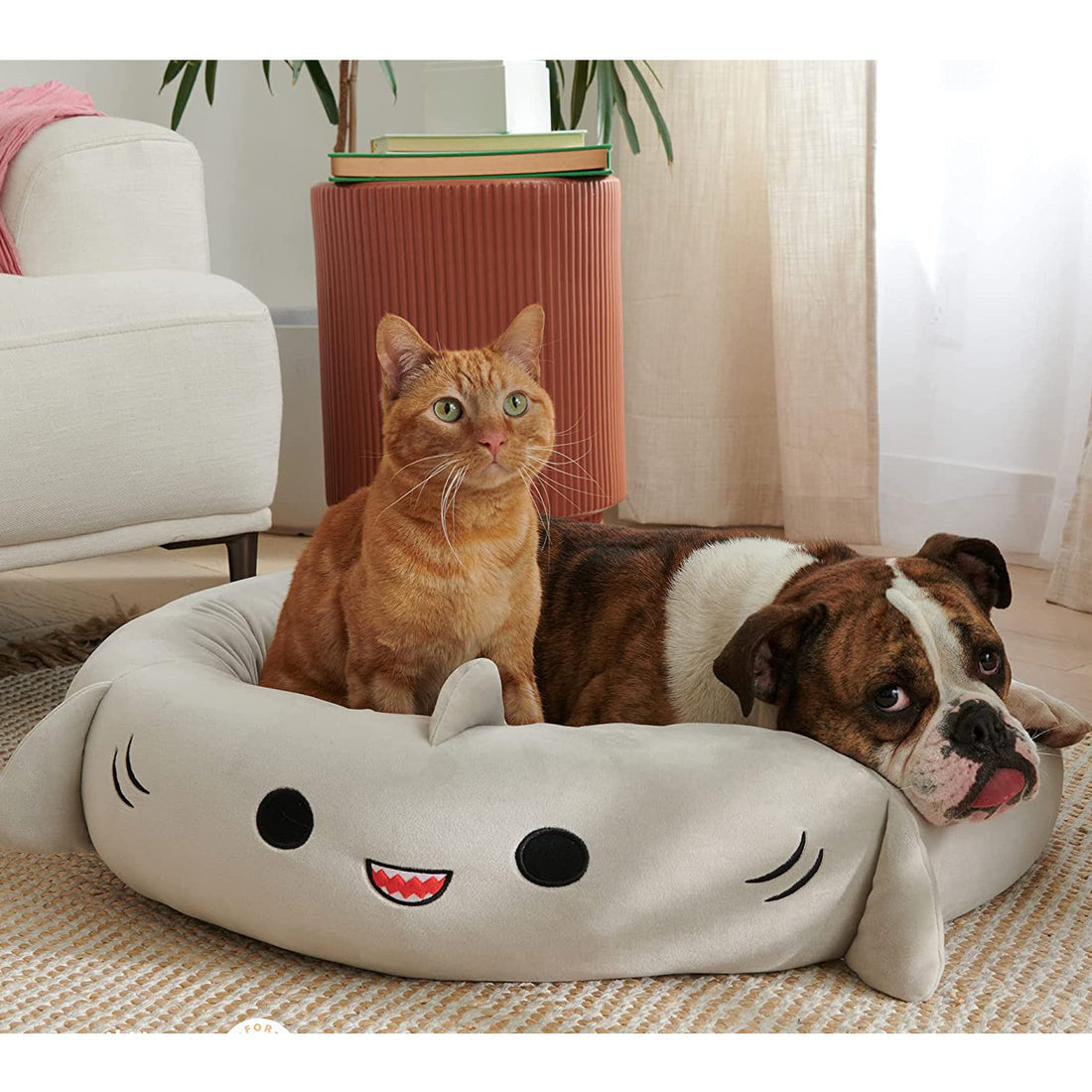 Super Soft Plush Bed