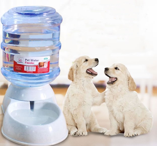 Automatic Pet Feeder Drinking Water