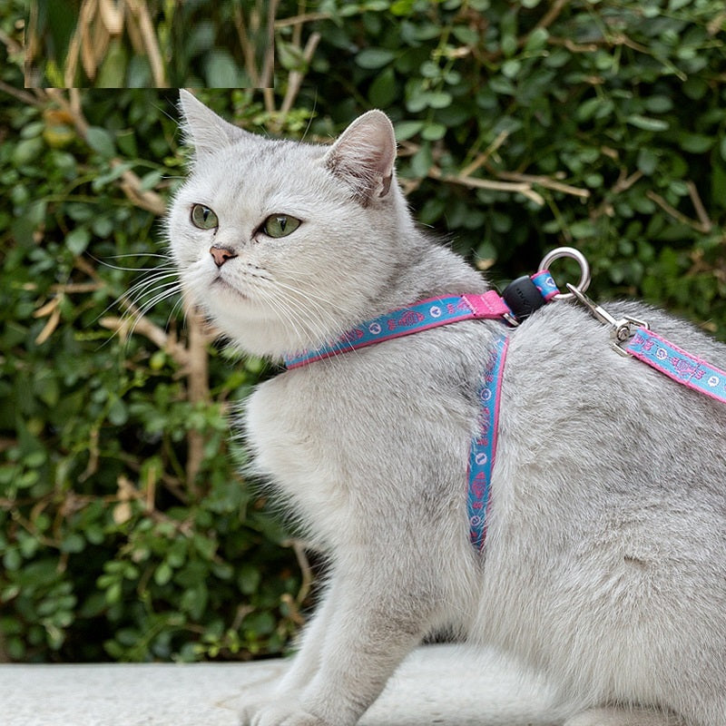 Pet Cat Bell Chest Strap Haulage Rope