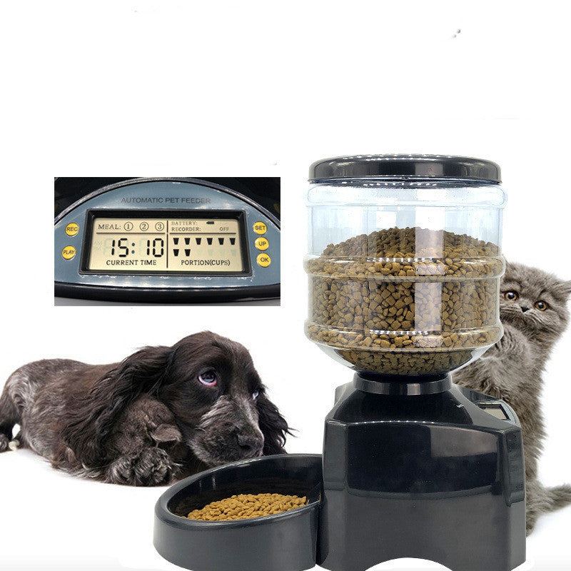 Pet Automatic Feeding Machine