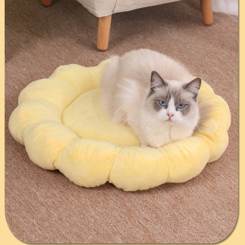 Multi Color Petal Dog Bed
