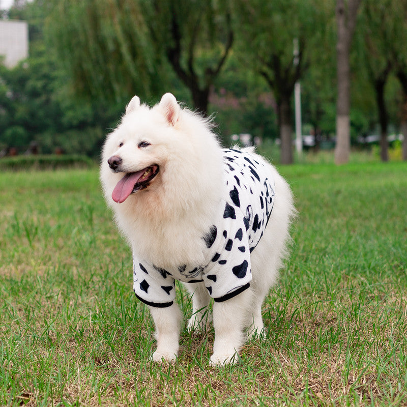 Fashion Pet Clothes Dog Dress