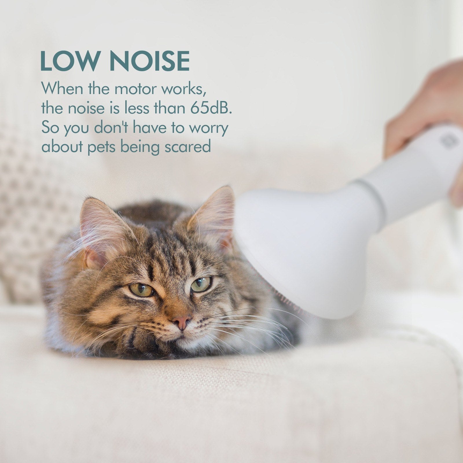 Hair Dryer Grooming Dryer