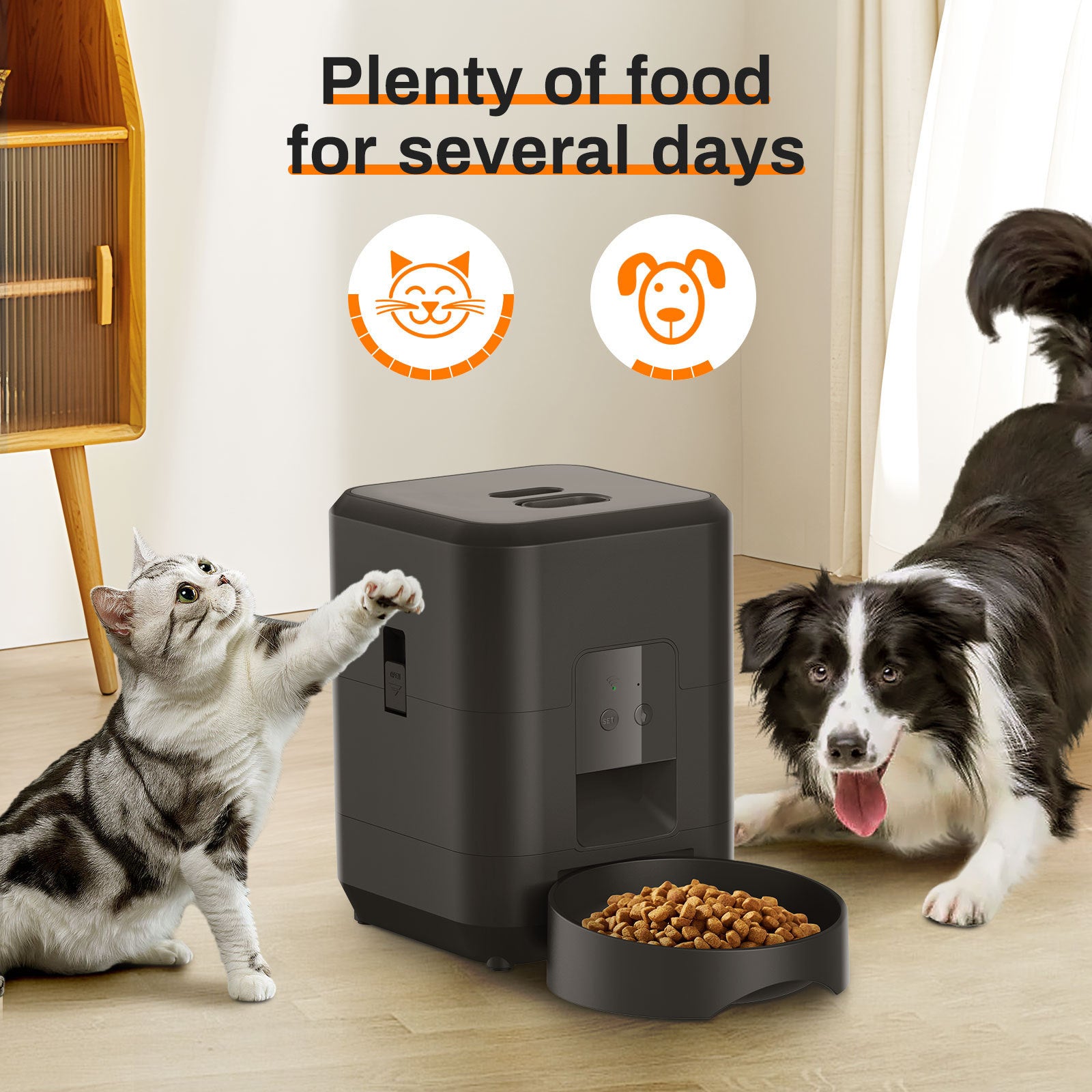 Timing Remote Automatic Pet Feeder