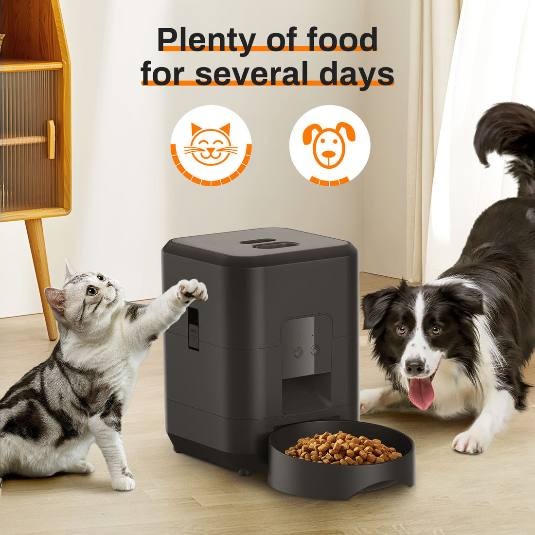 Timing Remote Automatic Pet Feeder
