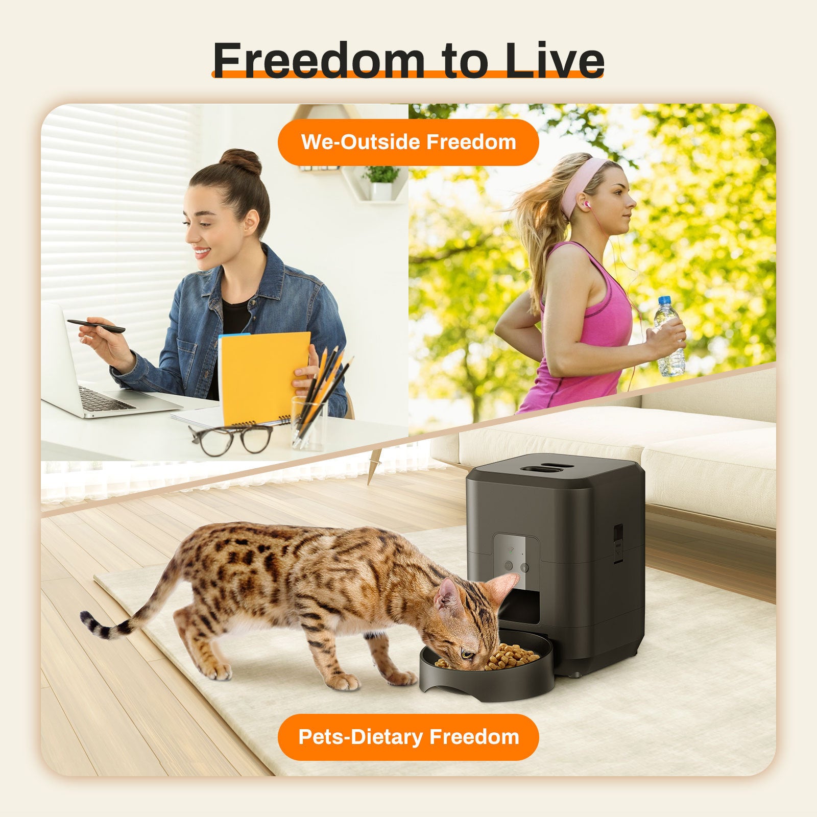 Timing Remote Automatic Pet Feeder