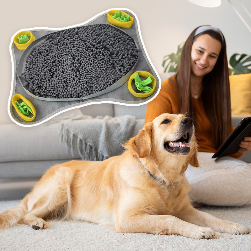 Nose Work Toy Pet Slowing Feeding